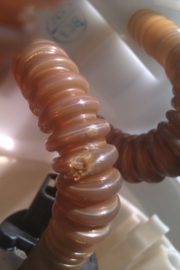 ремонт бензонасоса